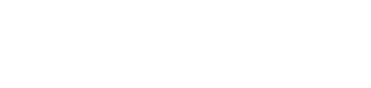 Signesa
